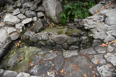 DSC_4712 (Large).JPG